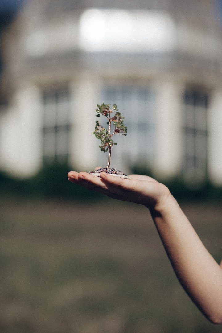 Arbre de Cristal Feng Shui en Quartz Olive avec base ronde - Positivité et Importance